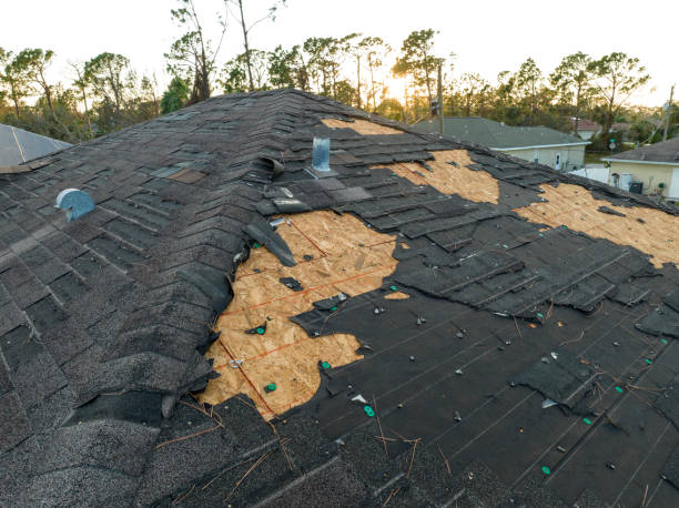 Best Roof Moss and Algae Removal  in Hilliard, OH